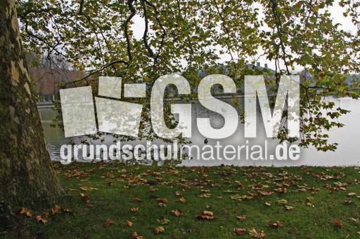 Herbststimmung-23-10-09 008.jpg